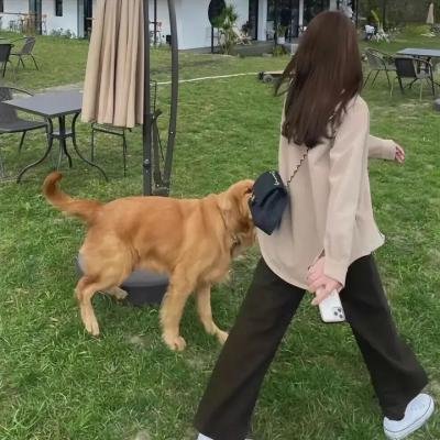 鞭子与肉体